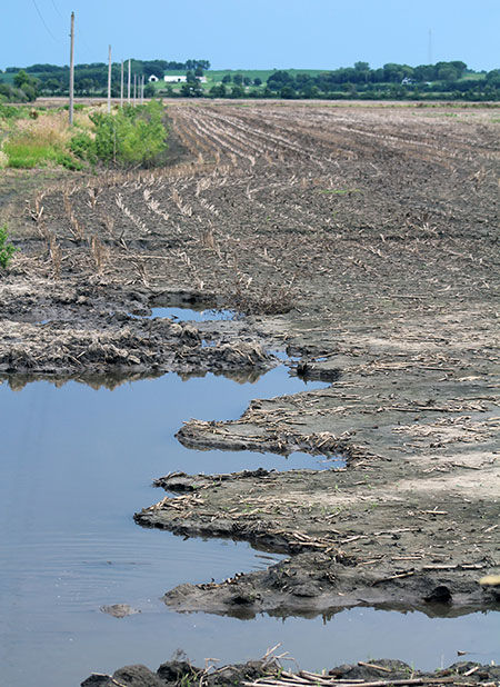 MO Flood damaged fields